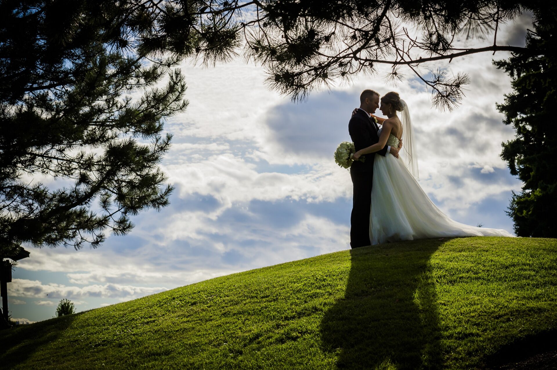 Bride and groom embracing each other at the top of a hill