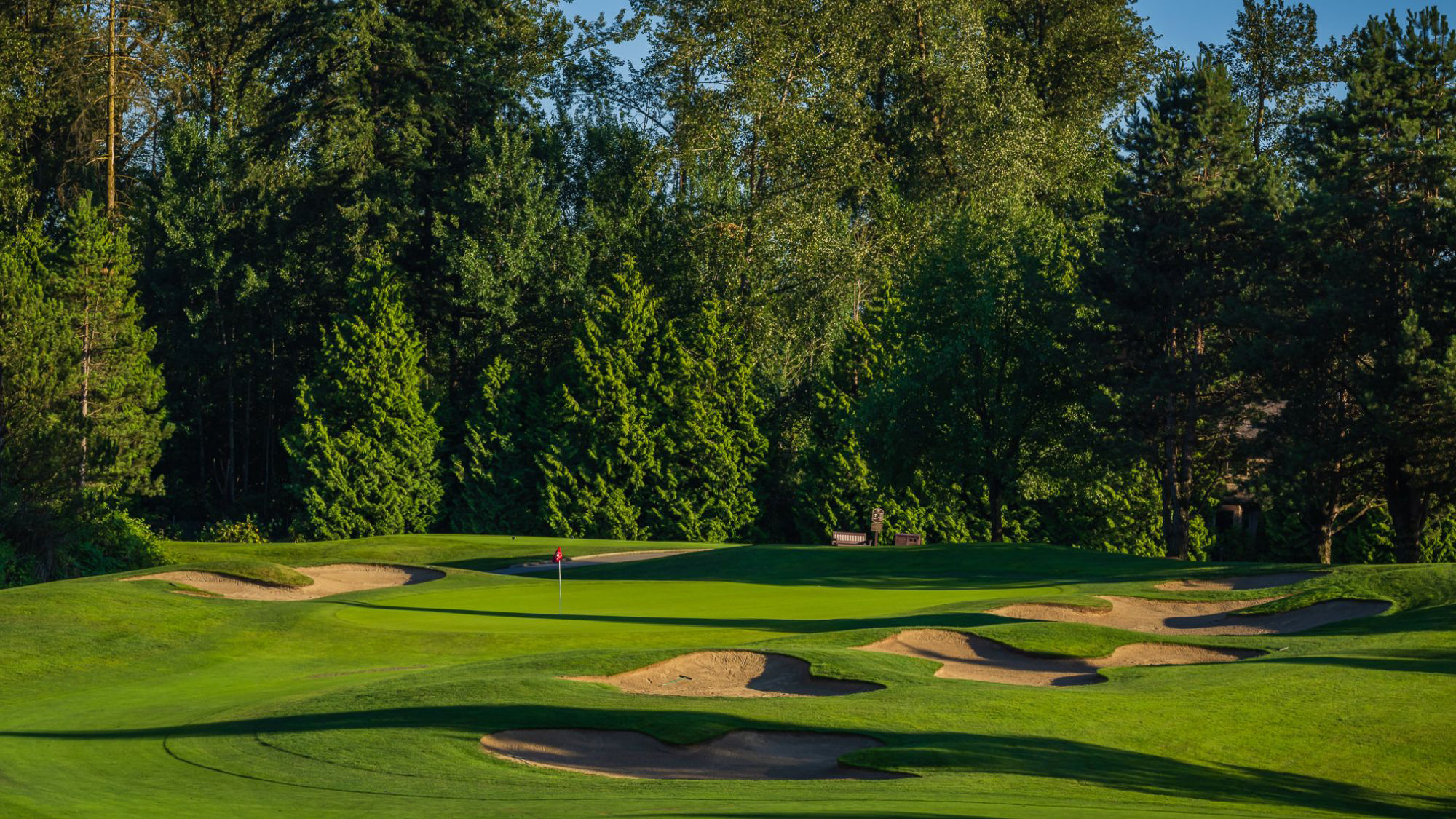 View of one of the courses with bunkers in the foreground and trees in the background